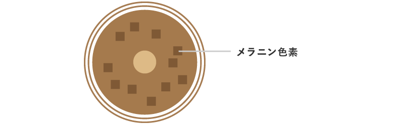 髪の毛のメラニン色素