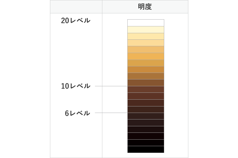 サロン品の明度