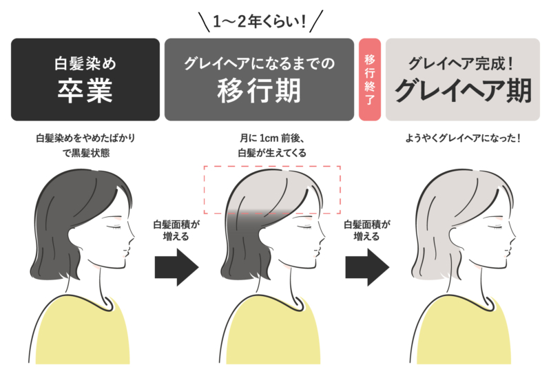 グレイヘアへの移行方法と移行期間